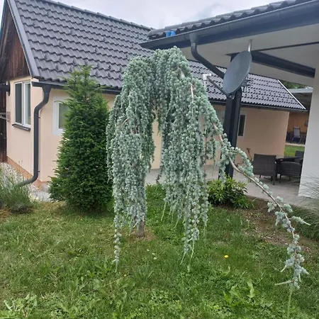 Am-moore Vakantiehuis *