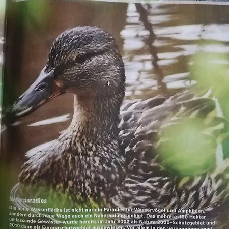 Casa vacanze Am-moore *