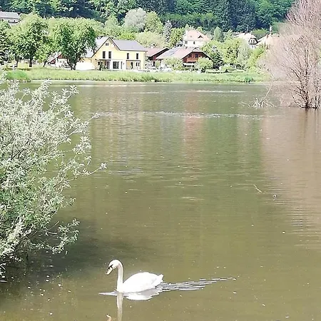 Am-moore Casa vacanze *