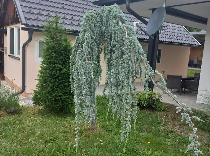 Am-moore Semesterbostad *